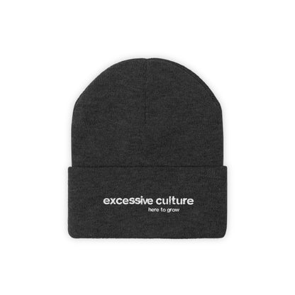 Here To Grow - Excessive Culture