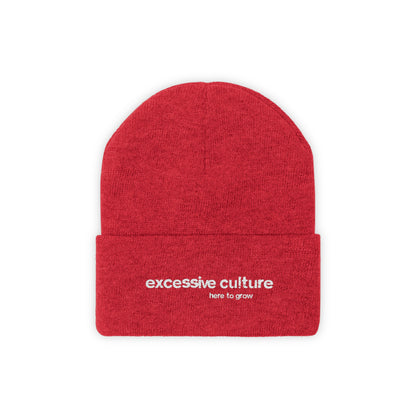 Here To Grow - Excessive Culture