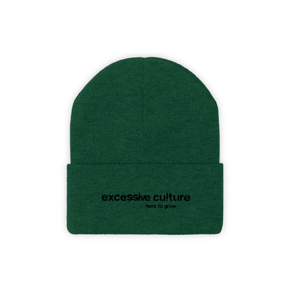 Here To Grow - Excessive Culture