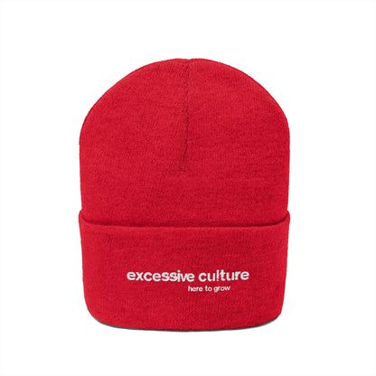 Here To Grow - Excessive Culture