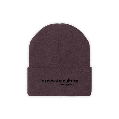 Here To Grow - Excessive Culture